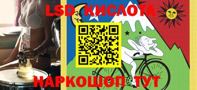 шишки Сланцы