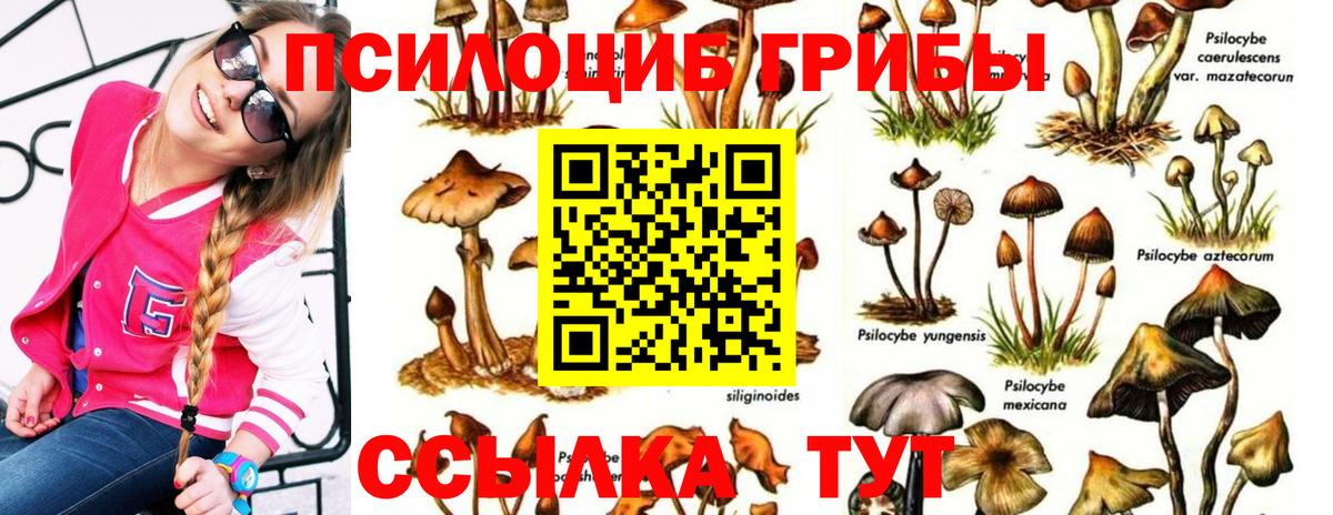 Новый Уренгой  Галлюциногенные грибы MAGIC MUSHROOMS  Вход с VPN  Псилоцибиновые грибы прущие грибы 