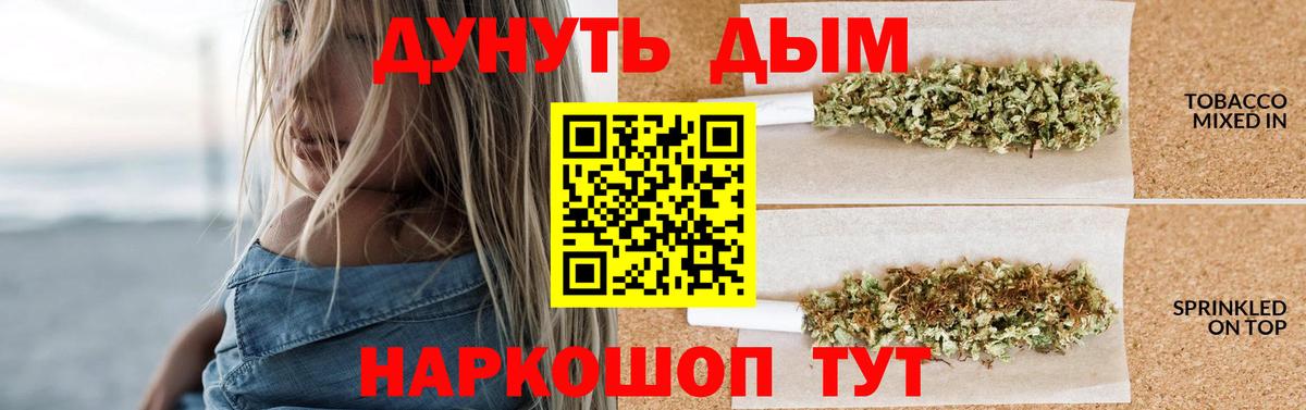 Канабис семена Новый Уренгой